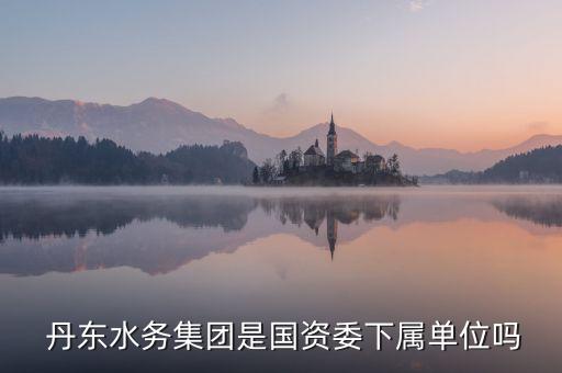  丹東水務集團是國資委下屬單位嗎