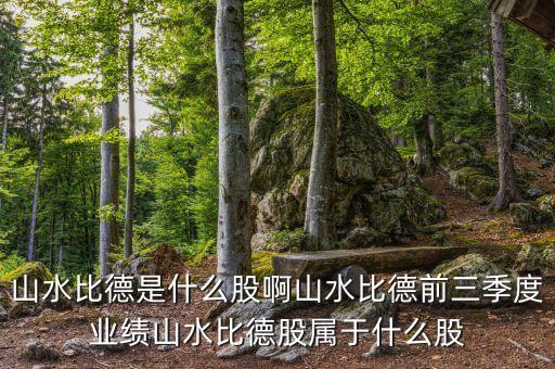 山水比德是什么股啊山水比德前三季度業(yè)績山水比德股屬于什么股