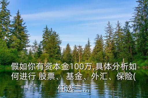 假如你有資本金100萬,具體分析如何進(jìn)行 股票、 基金、外匯、保險(xiǎn)(任選三...