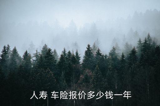  人壽 車(chē)險(xiǎn)報(bào)價(jià)多少錢(qián)一年