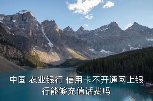 中國(guó) 農(nóng)業(yè)銀行 信用卡不開通網(wǎng)上銀行能夠充值話費(fèi)嗎