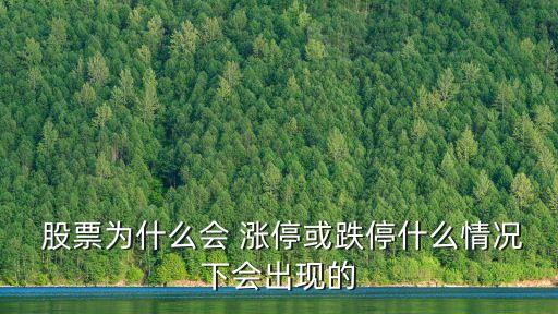  股票為什么會(huì) 漲?；虻Ｊ裁辞闆r下會(huì)出現(xiàn)的