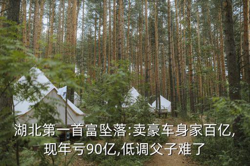湖北第一首富墜落:賣(mài)豪車(chē)身家百億,現(xiàn)年虧90億,低調(diào)父子難了
