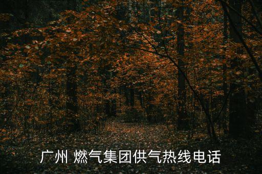國興燃?xì)庥邢薰?江蘇國興建設(shè)項(xiàng)目管理有限公司