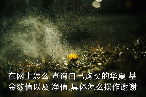 在網(wǎng)上怎么 查詢自己購(gòu)買(mǎi)的華夏 基金數(shù)值以及 凈值,具體怎么操作謝謝