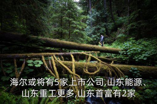 海爾或?qū)⒂?家上市公司,山東能源、山東重工更多,山東首富有2家