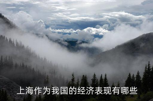  上海作為我國的經(jīng)濟(jì)表現(xiàn)有哪些
