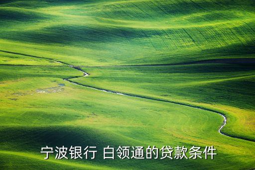 寧波銀行白領(lǐng)通利率計算和申請