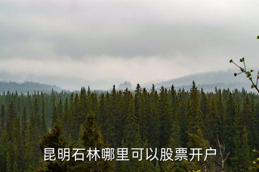 昆明石林哪里可以股票開戶