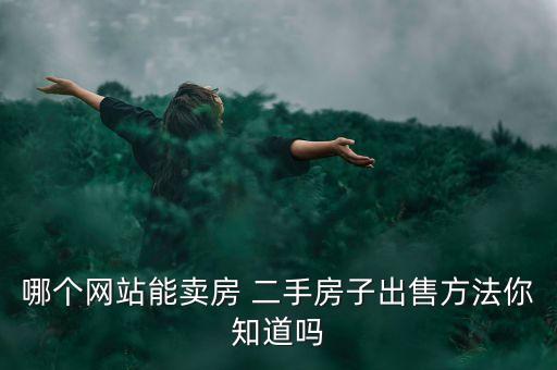 哪個網(wǎng)站能賣房 二手房子出售方法你知道嗎