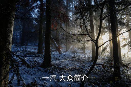 一汽 大眾簡(jiǎn)介