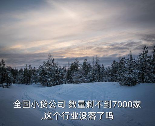 全國小貸公司 數量剩不到7000家,這個行業(yè)沒落了嗎