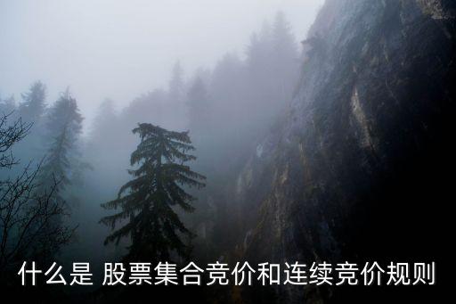 股票合同號是1,股票價(jià)格合同以及廠房