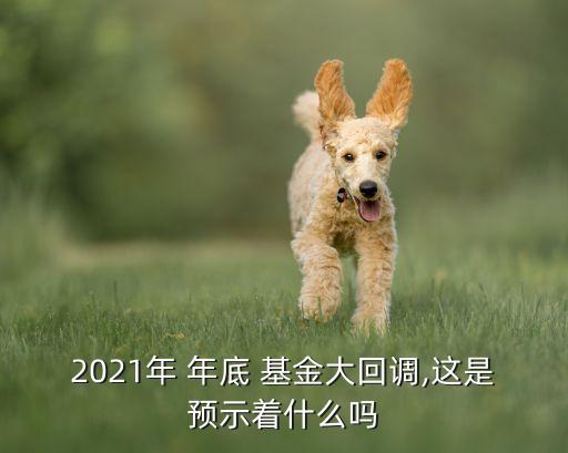 2021年 年底 基金大回調(diào),這是預示著什么嗎
