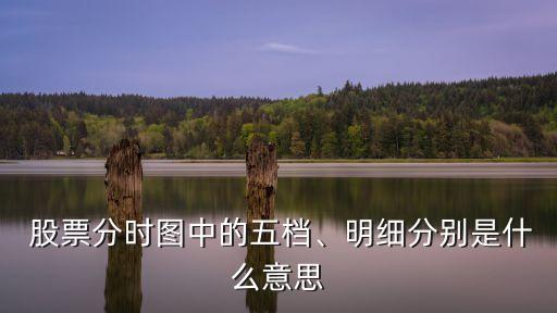  股票分時(shí)圖中的五檔、明細(xì)分別是什么意思