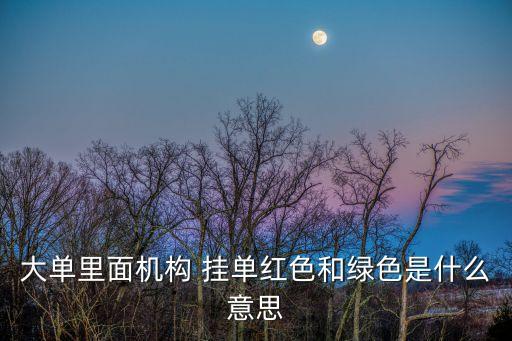 大單里面機(jī)構(gòu) 掛單紅色和綠色是什么意思