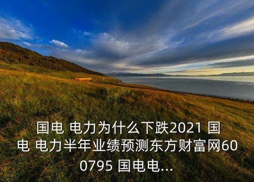 國電電力發(fā)展股份有限公司周大兵個(gè)人簡歷,北京國電電力發(fā)展股份有限公司