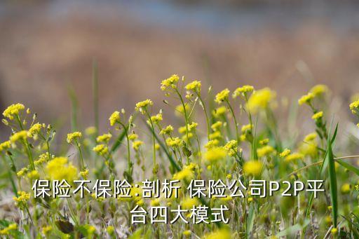 保險不保險:剖析 保險公司P2P平臺四大模式