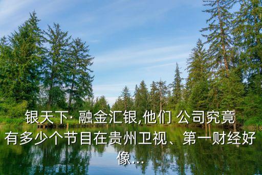 銀天下· 融金匯銀,他們 公司究竟有多少個(gè)節(jié)目在貴州衛(wèi)視、第一財(cái)經(jīng)好像...