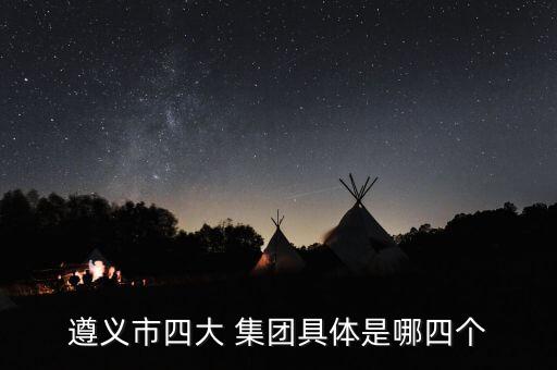 遵義市四大 集團具體是哪四個