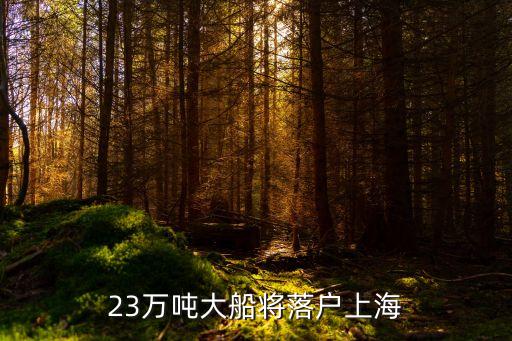 23萬(wàn)噸大船將落戶(hù)上海