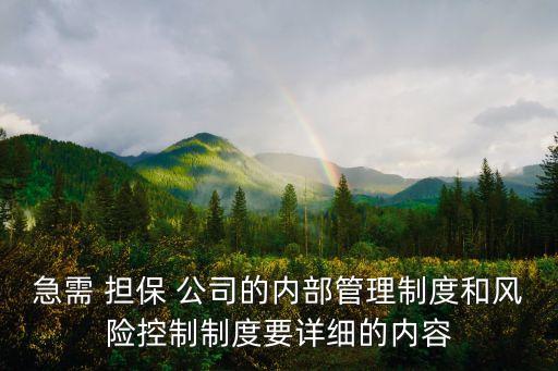 急需 擔(dān)保 公司的內(nèi)部管理制度和風(fēng)險(xiǎn)控制制度要詳細(xì)的內(nèi)容