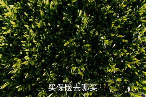 買保險去哪買
