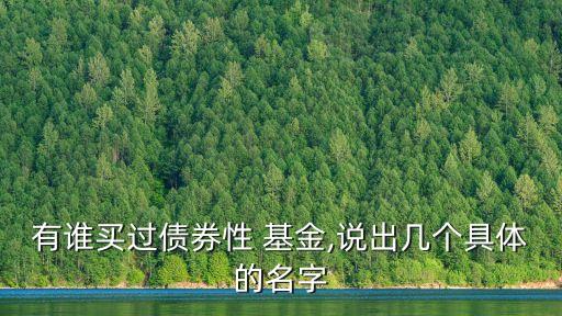 有誰(shuí)買(mǎi)過(guò)債券性 基金,說(shuō)出幾個(gè)具體的名字