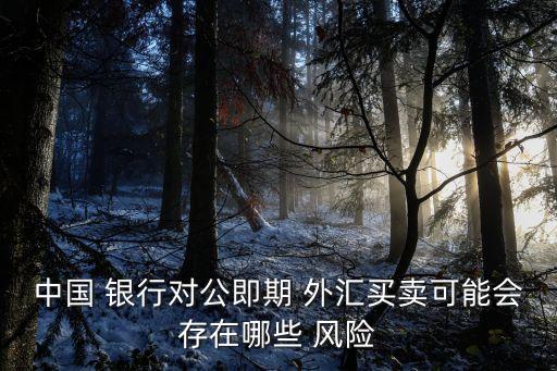 中國(guó) 銀行對(duì)公即期 外匯買(mǎi)賣(mài)可能會(huì)存在哪些 風(fēng)險(xiǎn)