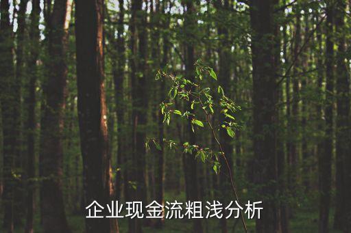 企業(yè)現金流粗淺分析
