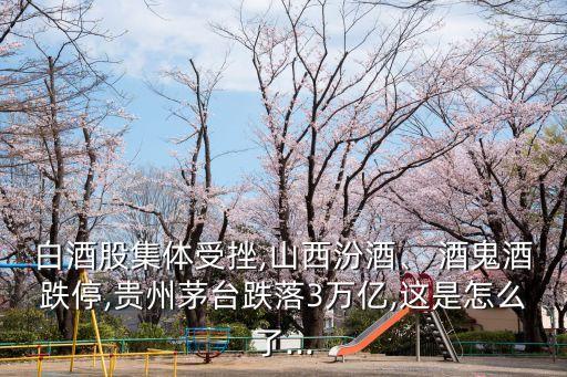 白酒股集體受挫,山西汾酒、 酒鬼酒跌停,貴州茅臺跌落3萬億,這是怎么了...