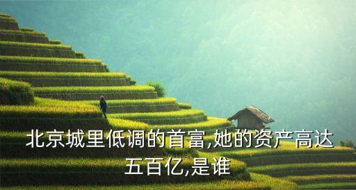  北京城里低調的首富,她的資產高達五百億,是誰