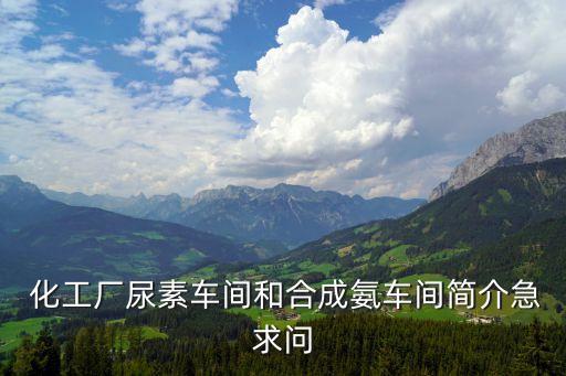  化工廠尿素車間和合成氨車間簡介急求問