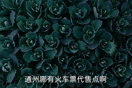 通州哪有火車票代售點(diǎn)啊