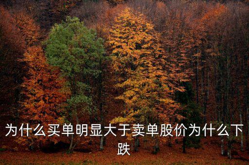 為什么買單明顯大于賣單股價(jià)為什么下跌
