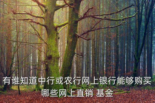 有誰(shuí)知道中行或農(nóng)行網(wǎng)上銀行能夠購(gòu)買(mǎi)哪些網(wǎng)上直銷 基金