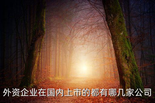 外資企業(yè)在國內(nèi)上市的都有哪幾家公司