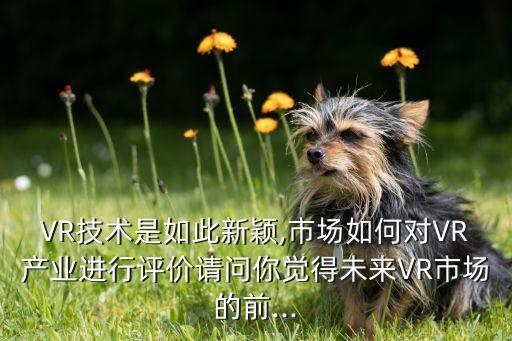 VR技術是如此新穎,市場如何對VR產業(yè)進行評價請問你覺得未來VR市場的前...