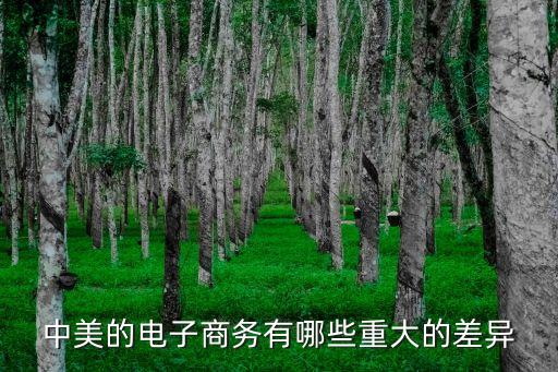 美國(guó)電商與中國(guó)電商,中國(guó)電商和美國(guó)電商發(fā)展有何不同
