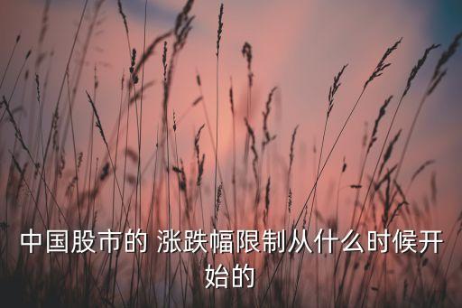 中國(guó)股市的 漲跌幅限制從什么時(shí)候開(kāi)始的