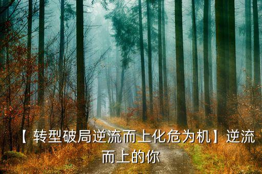 公司轉(zhuǎn)型新聞,個(gè)人對公司轉(zhuǎn)型的建議