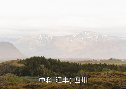 四川匯豐投資,匯豐投資真的假的