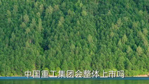 中國(guó)重工集團(tuán)會(huì)整體上市嗎