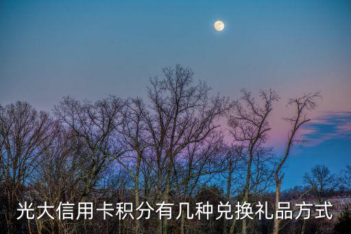 光大銀行商城,中國(guó)光大銀行積分兌換商城