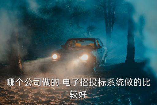 哪個公司做的 電子招投標(biāo)系統(tǒng)做的比較好
