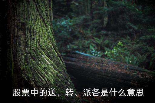  股票中的送、轉(zhuǎn)、派各是什么意思