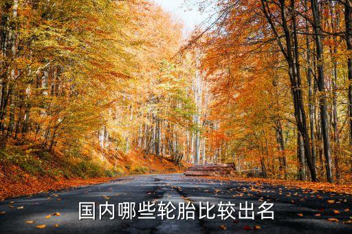 國(guó)內(nèi)哪些輪胎比較出名