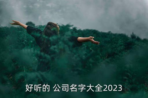好聽的 公司名字大全2023