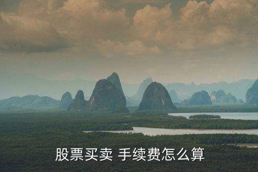 股票賣(mài)出的手續(xù)費(fèi),股票的手續(xù)費(fèi)和交易費(fèi)怎么算