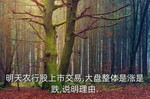 農(nóng)業(yè)銀行股票發(fā)展前景,濰柴動(dòng)力股票發(fā)展前景怎么樣